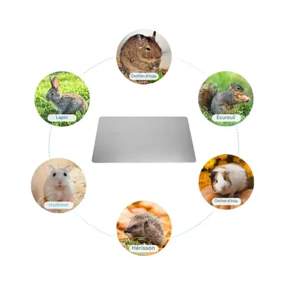 ZenPets Tapis rafraîchissant pour petits animaux
