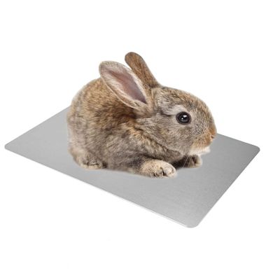 ZenPets Tapis rafraîchissant pour petits animaux