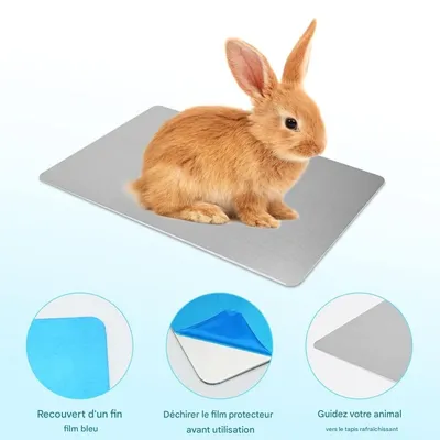 ZenPets Tapis rafraîchissant pour petits animaux