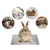 ZenPets Tapis rafraîchissant pour petits animaux