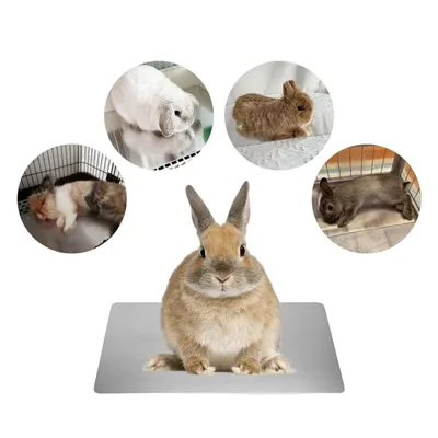 ZenPets Tapis rafraîchissant pour petits animaux