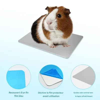 ZenPets Tapis rafraîchissant pour petits animaux