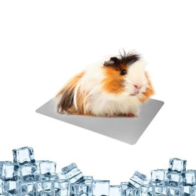 ZenPets Tapis rafraîchissant pour petits animaux