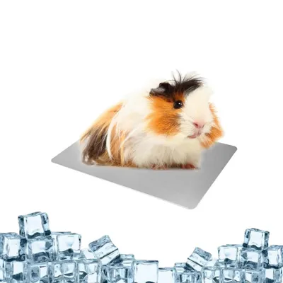 ZenPets Tapis rafraîchissant pour petits animaux