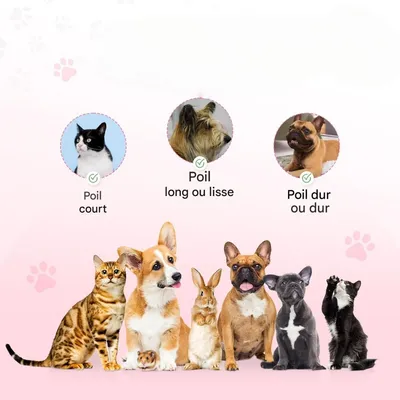 ZenPets Brosse pour chat et chien