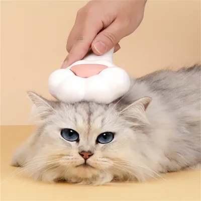 IntiMeg Peigne à débarbouillage ensemble pour chat