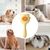 ZenPets Brosse de toilettage pour animaux de compagnie