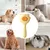 ZenPets Brosse de toilettage pour animaux de compagnie