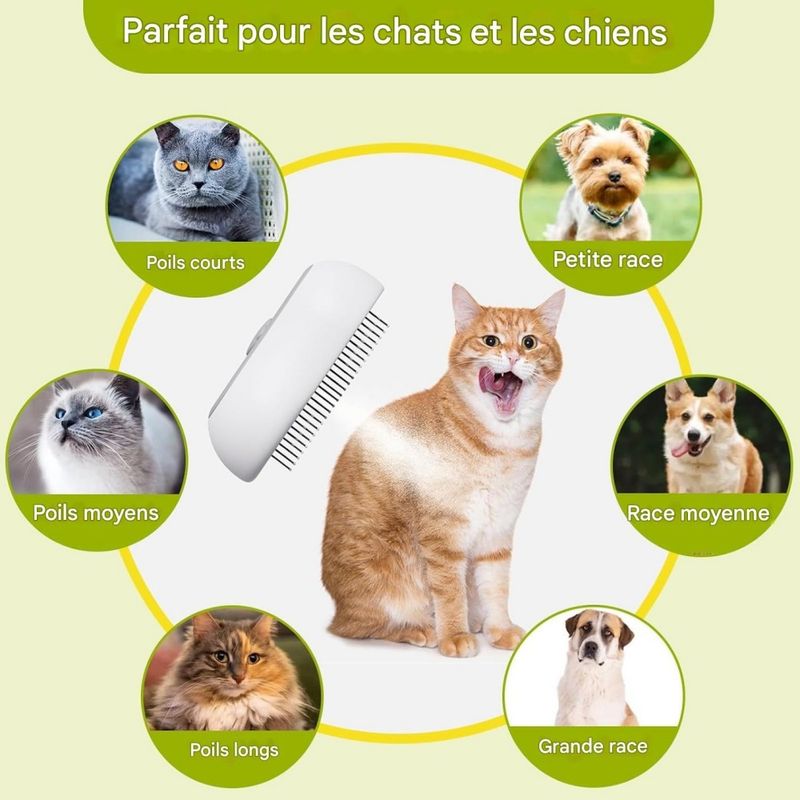 Pet Planet Brosse Vapeur 3 - en - 1 Et Peigne Pour Chat