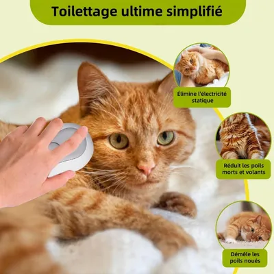 Pet Planet Brosse Vapeur 3 - en - 1 Et Peigne Pour Chat