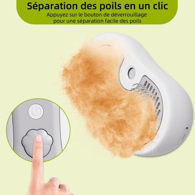 Pet Planet Brosse Vapeur 3 - en - 1 Et Peigne Pour Chat