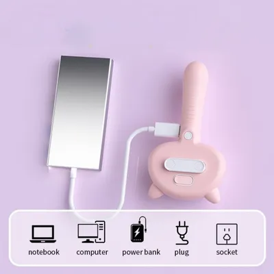 ZenPets Brosse à vapeur 4 en 1 pour chats et chiens