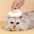 IntiMeg Peigne à débarbouillage ensemble pour chat