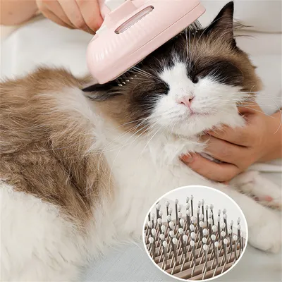 Pet Planet Brosse à vaporisateur pour chat