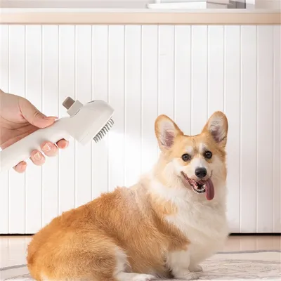 Pet Planet Brosse à vaporisateur pour chat