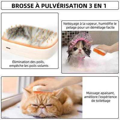 Pet Planet Brosse Vapeur 3 - en - 1 Et Peigne Pour Chat