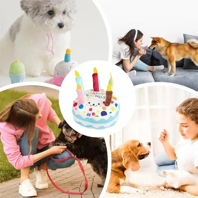 IntiMeg Jouet en peluche pour chien en forme de gâteau d'anniversaire