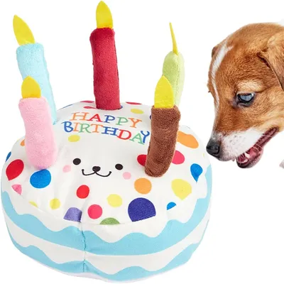 IntiMeg Jouet en peluche pour chien en forme de gâteau d'anniversaire