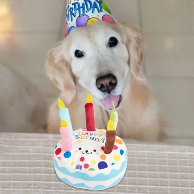 IntiMeg Jouet en peluche pour chien en forme de gâteau d'anniversaire