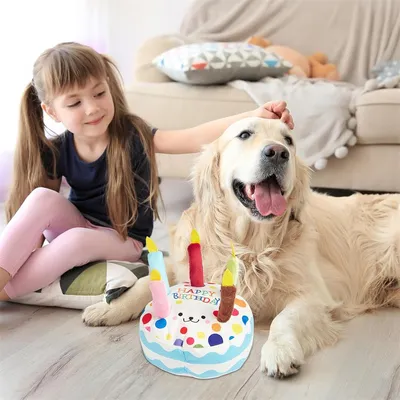 IntiMeg Jouet en peluche pour chien en forme de gâteau d'anniversaire