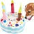 IntiMeg Jouet en peluche pour chien en forme de gâteau d'anniversaire