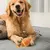 IntiMeg Jouet en forme de croissant pour chien