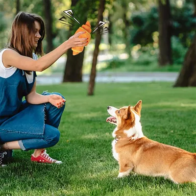 IntiMeg Jouet en forme de croissant pour chien