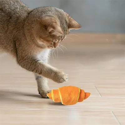 IntiMeg Jouet en forme de croissant pour chien