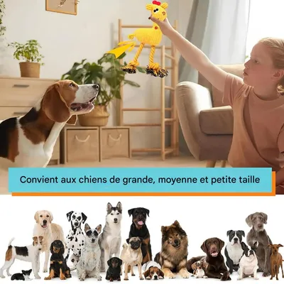ZenPets Jouet indestructible pour chien