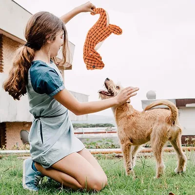 IntiMeg Jouet en peluche pour chien en forme de dinosaure