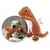 IntiMeg Jouet en peluche pour chien en forme de dinosaure