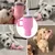 FurryFusion Jouet en peluche pour chien en forme de tasse