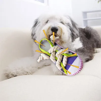 IntiMeg Jouet en forme de pantoufle en coton pour chien