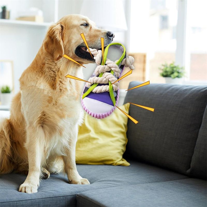 IntiMeg Jouet en forme de pantoufle en coton pour chien