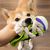 IntiMeg Jouet en forme de pantoufle en coton pour chien