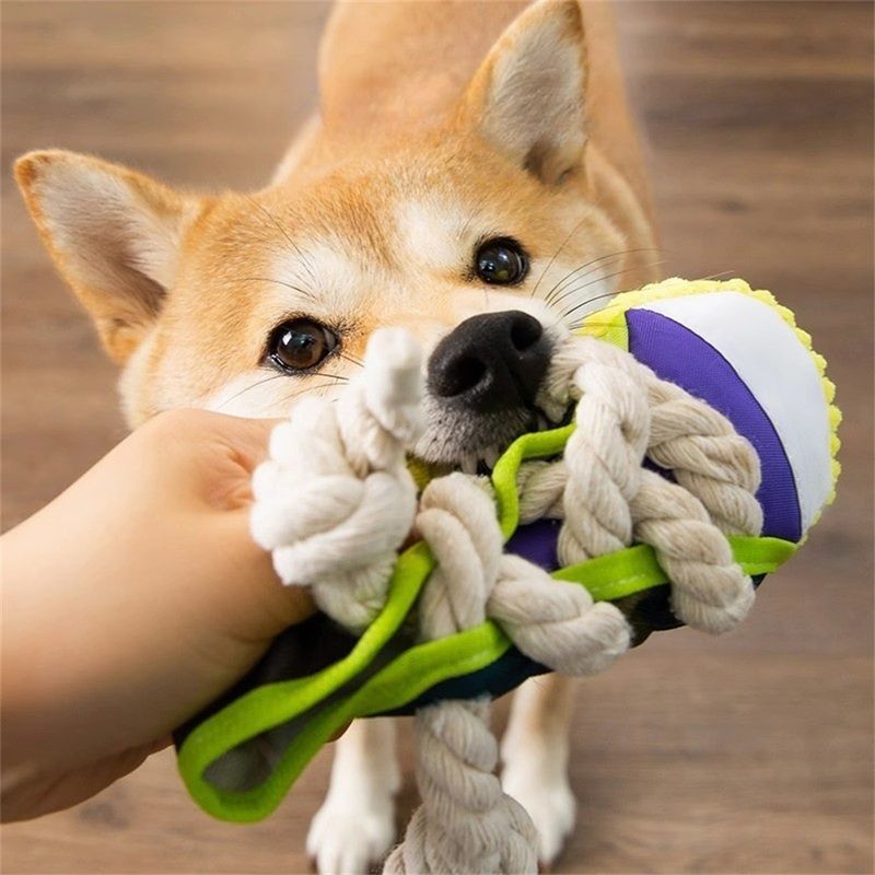 IntiMeg Jouet en forme de pantoufle en coton pour chien