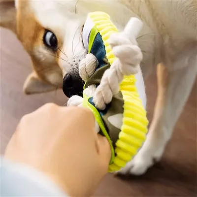 IntiMeg Jouet en forme de pantoufle en coton pour chien