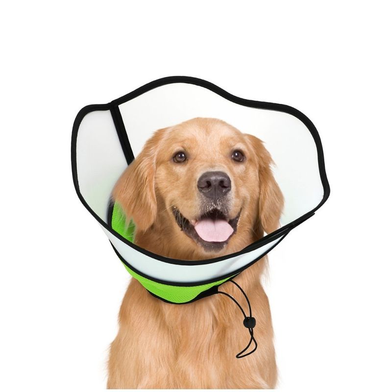 ZenPets Collier conique pour chien et chaton