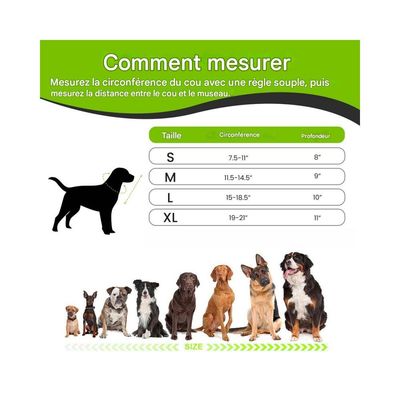 ZenPets Collier conique pour chien et chaton