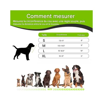 ZenPets Collier conique pour chien et chaton