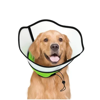 ZenPets Collier conique pour chien et chaton ZenPets Collier conique pour chien et chaton