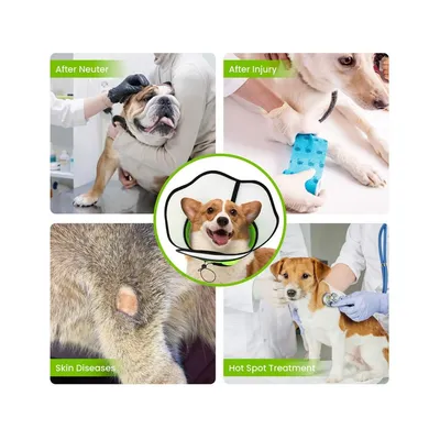 ZenPets Collier conique pour chien et chaton