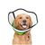 ZenPets Collier conique pour chien et chaton