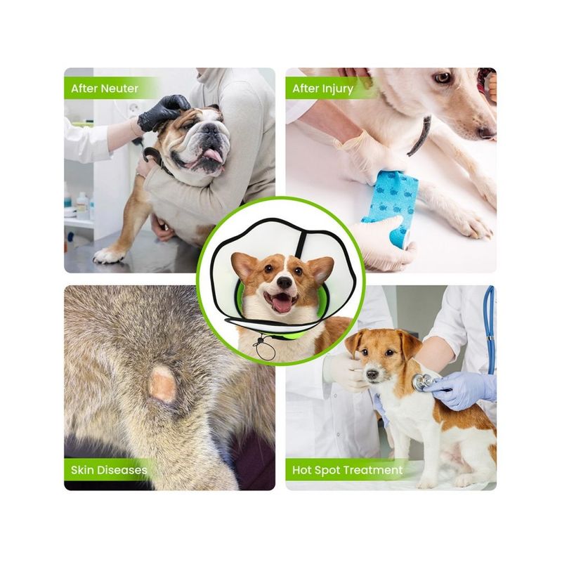 ZenPets Collier conique pour chien et chaton