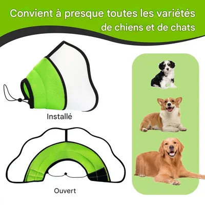 ZenPets Collier conique pour chien et chaton