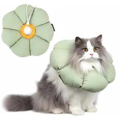 Pet Planet Collier Récupération Anti - Léchage Réglable Imperméable Chats
