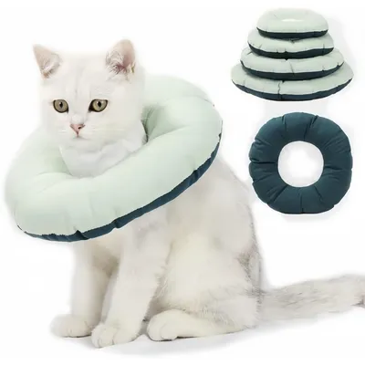 Pet Planet Collier De Récupération Réglable Imperméable pour Chats Pet Planet Collier De Récupération Réglable Imperméable pour Chats