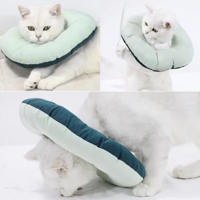 Pet Planet Collier De Récupération Réglable Imperméable pour Chats