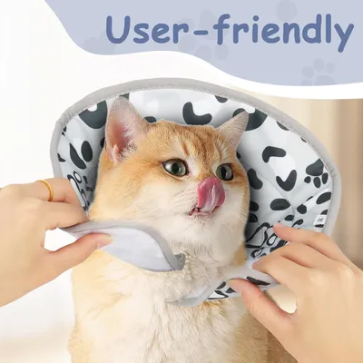 UAMLY Verstellbarer Halskragen für Katzen
