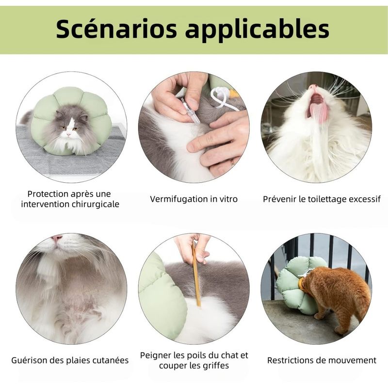 Pet Planet Collier Récupération Anti - Léchage Réglable Imperméable Chats